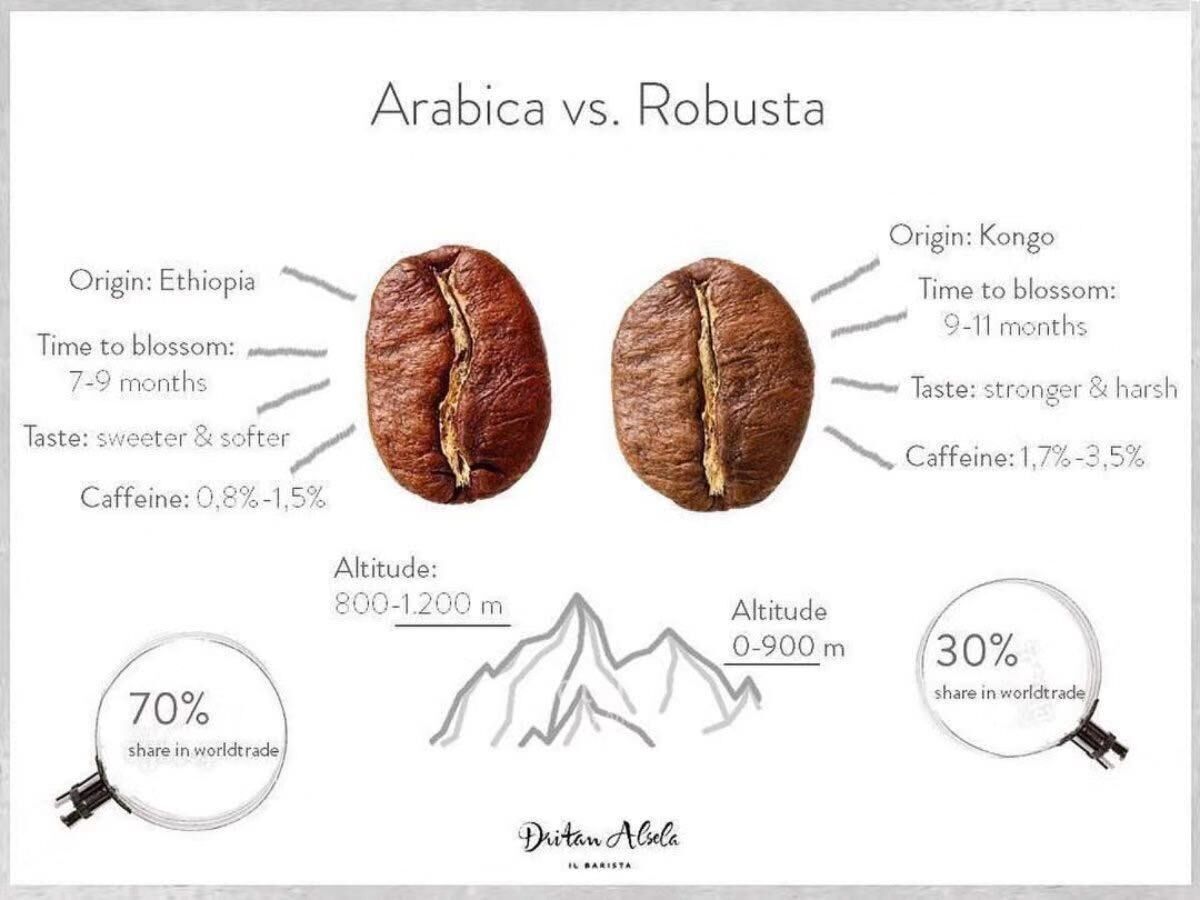 Arabica vs. Robusta